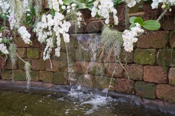 Small artificial waterfall in a pond of a botanical garden with white orchid flowers