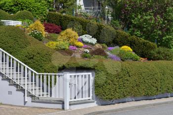 Beautiful flower bed in front of the house with colorful flowers and bushes