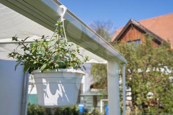 Suspended flower pot in the summer in the home garden