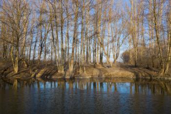 Spring landscape trees without leaves and their reflection in the river. Leafless Trees