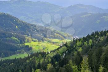 Picturesque European landscape with mixed coniferous and deciduous forest on a background of a mountain valley with houses in the forest Schwarzwald