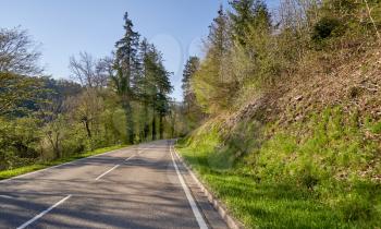Spring landscape with a road between trees, sunny day and blue sky in the German forest Schwarzwa