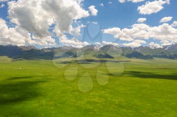 Nalati grassland with the blue sky. Shot in Xinjiang, China.