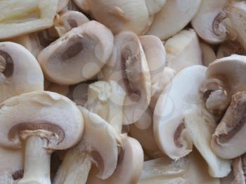 agaricus bisporus aka champignons mushrooms food useful as background
