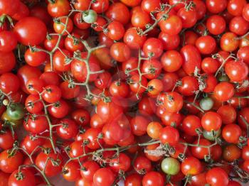 Cherry tomatoes (Solanum lycopersicum) vegetables vegetarian food