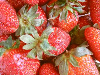 Detail of Strawberries fruits useful as a background