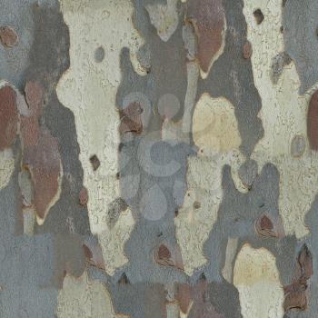 seamless tileable bark texture useful as a background