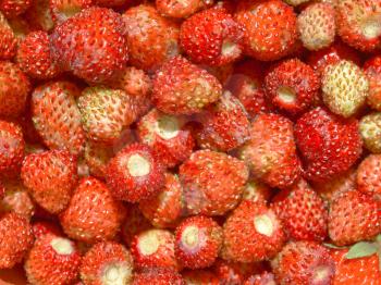 Strawberry fruit useful as a food background