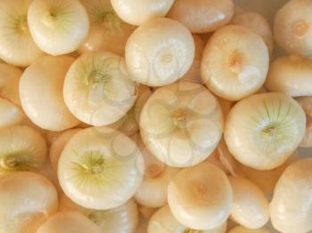 Onion (Allium cepa) also known as garden or bulb onion