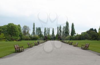 Regent's Park landscape in London, England, UK