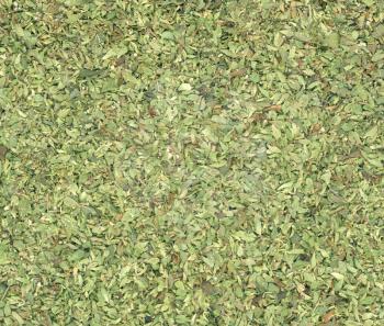 Oregano (Origanum vulgare) herb aka wild marjoram or sweet marjoram