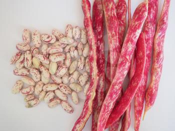 crimson beans variety of common bean (Phaseolus vulgaris) aka borlotti beans or cranberry beans legumes vegetables vegetarian food