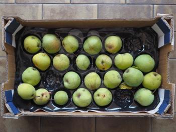 green pear vegetarian fruit food (scientific name Pyrus)