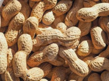 peanuts (Arachis hypogaea) food useful as a background