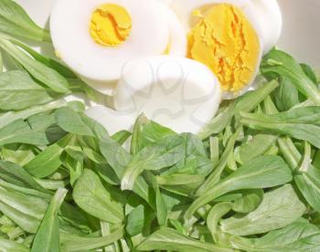 Detail of salad with lettuce and eggs