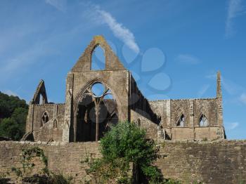 Tintern Abbey (Abaty Tyndyrn in Welsh) ruins in Tintern, UK