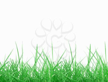 Green meadow grass over white background with copy space