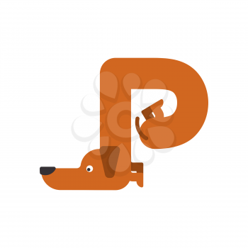 Letter P is dog. pet font. Dachshund alphabet. Lettering home animal