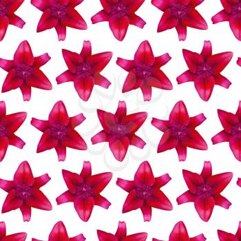 Lily Red pattern seamless. Beautiful flower background 