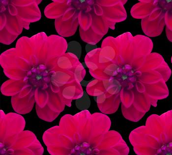 Dahlia Red pattern seamless. Beautiful flower background
