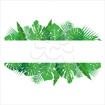 Tropical leaves around a white frame copy space. Bright abstract background for banner, flyer or cover with copy space for text or emblem