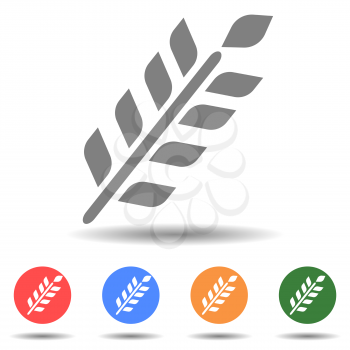 Wheat spike vector icon isolated