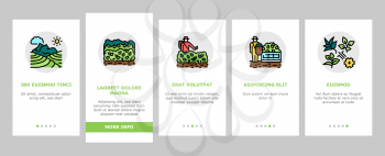 Tea Drink Production Onboarding Mobile App Page Screen Vector. Growth Of Tea On Plantation And Harvesting, Cultivation And Sorting, Flavoring And Packaging Illustrations