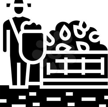 harvesting tea glyph icon vector. harvesting tea sign. isolated contour symbol black illustration
