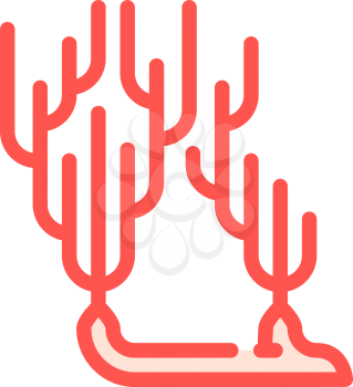ocean coral branch color icon vector. ocean coral branch sign. isolated symbol illustration