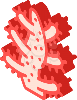 aquarium coral isometric icon vector. aquarium coral sign. isolated symbol illustration