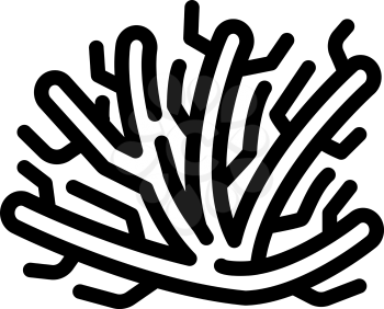 marine seaweed branch line icon vector. marine seaweed branch sign. isolated contour symbol black illustration