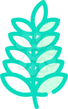 plant branch color icon vector. plant branch sign. isolated symbol illustration