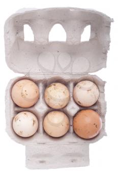 Royalty Free Photo of Eggs in a Carton