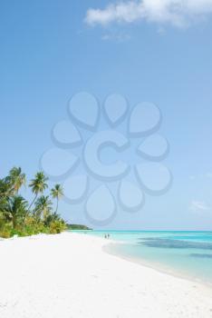 Royalty Free Photo of a Beach in a Maldivian Island