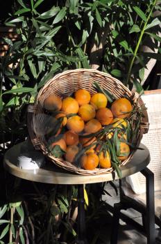 Royalty Free Photo of a Basket of Oranges