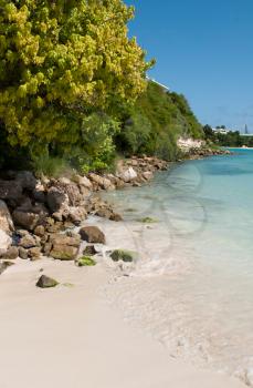 Royalty Free Photo of a Beach at Long Bay in Antigua