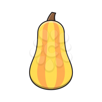 Royalty-free Clipart Image of a Squash