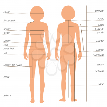 vector body measurements size chart, female clothing model, sewing
