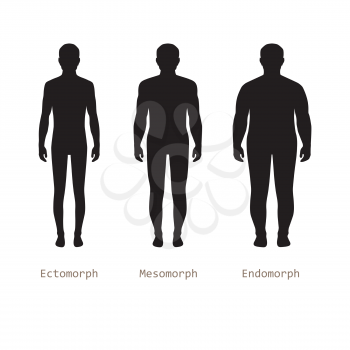 body male types, silhouette man naked figure, front human body
