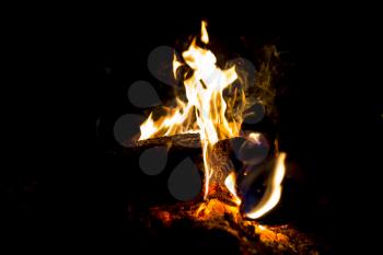 Closeup of a campfire in the dark