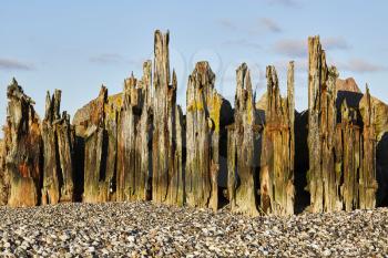 Rusty wood poles in the sand on the beach