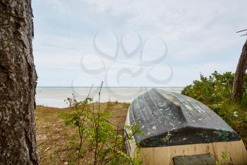 a boat laying by the trees by the ocean