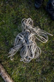 A old white rope in the green grass