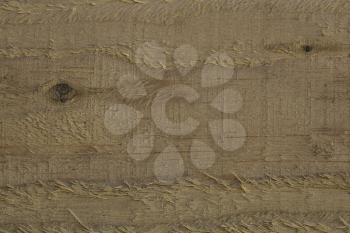 Closeup of textured wood plank