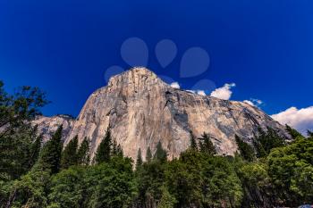 World famous rock climbing wall of El Capitan, Yosemite national park, California, usa