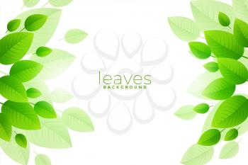 brish green leaves background design