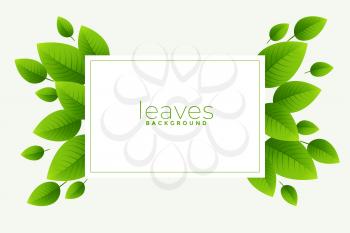 green leaves background with text space