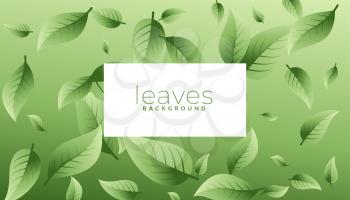 green leaves eco background design