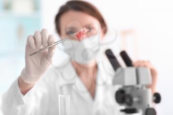 Scientist examining meat sample in laboratory�
