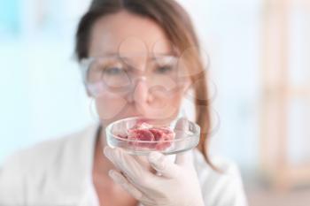 Scientist holding Petri dish with meat sample in laboratory�